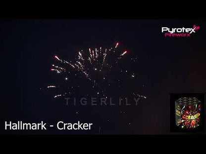 Cracker 19 Shot Cake    £8.00or (2 )for £15.00